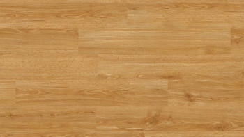 Project Floors Organic Flooring - ECO+ Collection ECO 1231/30 (ECO123130)