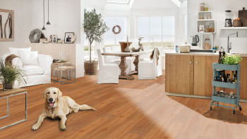 Strong SPC Wood click vinyl flooring - Bucura (135852)