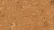 Wicanders cork flooring for gluing - Pure Shell Natural (80000214)