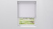planeo roller blind 25mm TL ECO - Blanc