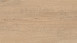 planeo DekoWall - Wall vinyl Tiny Plain Oak Beige | Synchronised embossing (DB281WXS-WV)