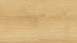 Wineo click Vinyl - 800 wood Wheat Golden Oak (DLC00080)